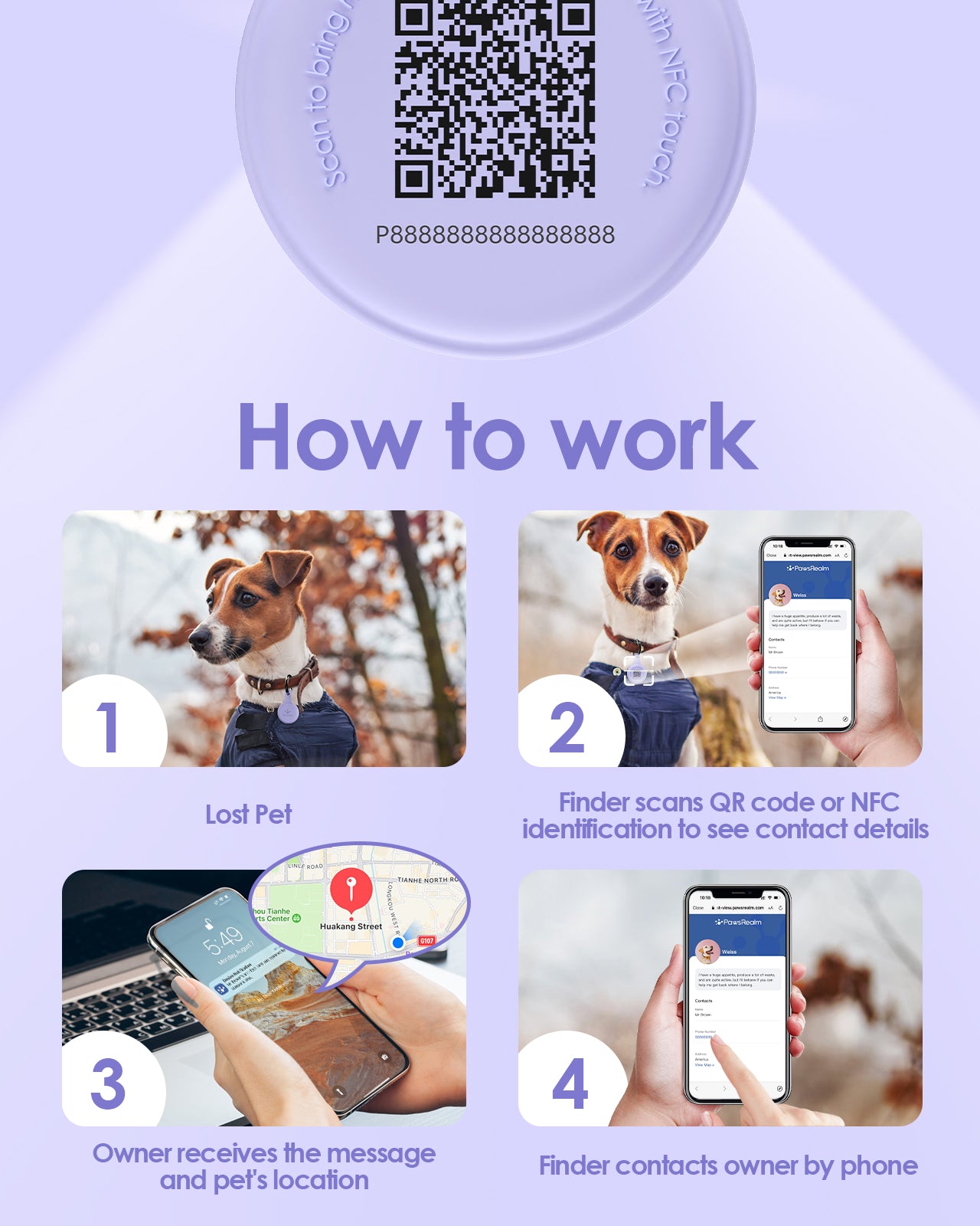 Pawsrealm Dog ID Tags