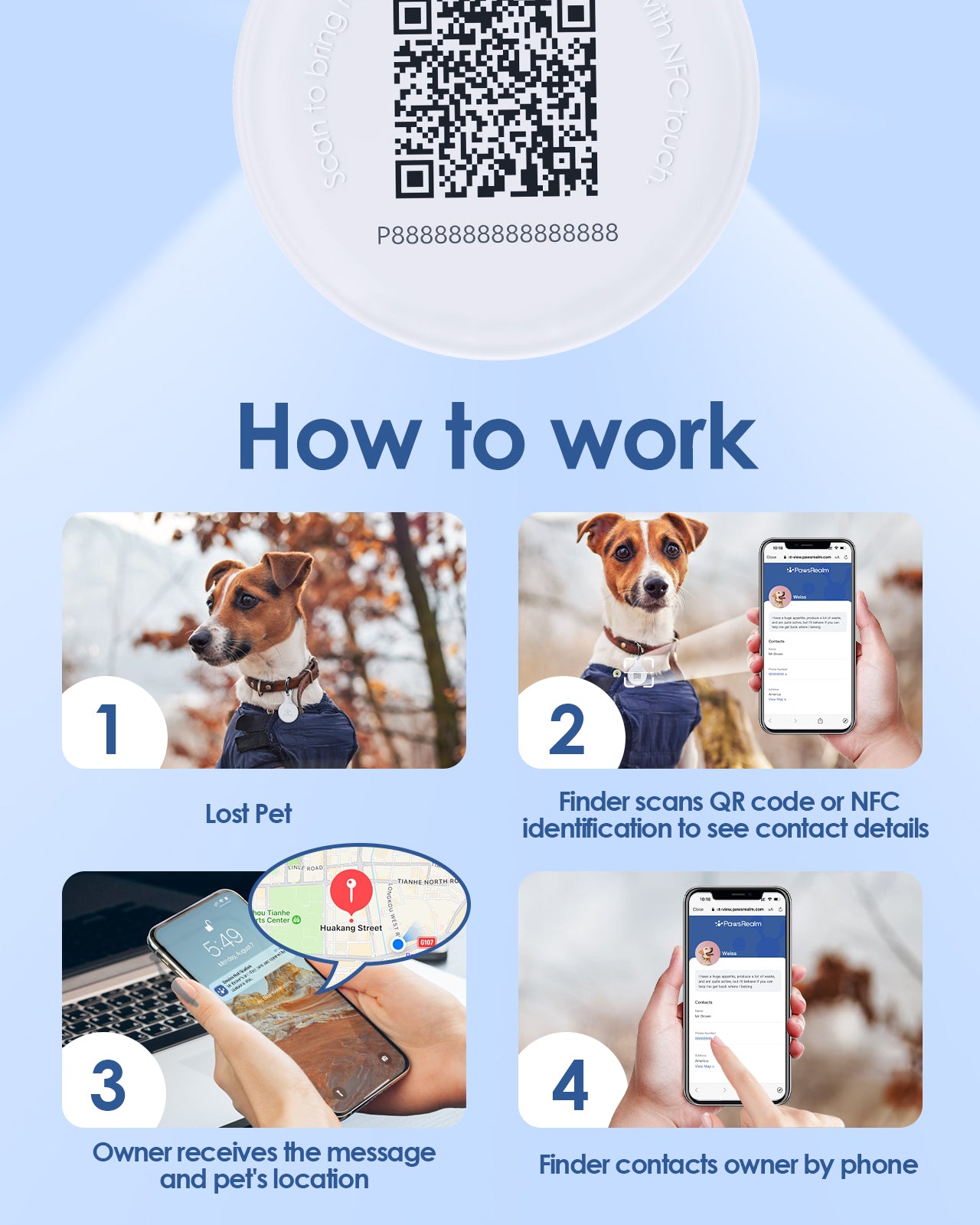 Pawsrealm Dog ID Tags