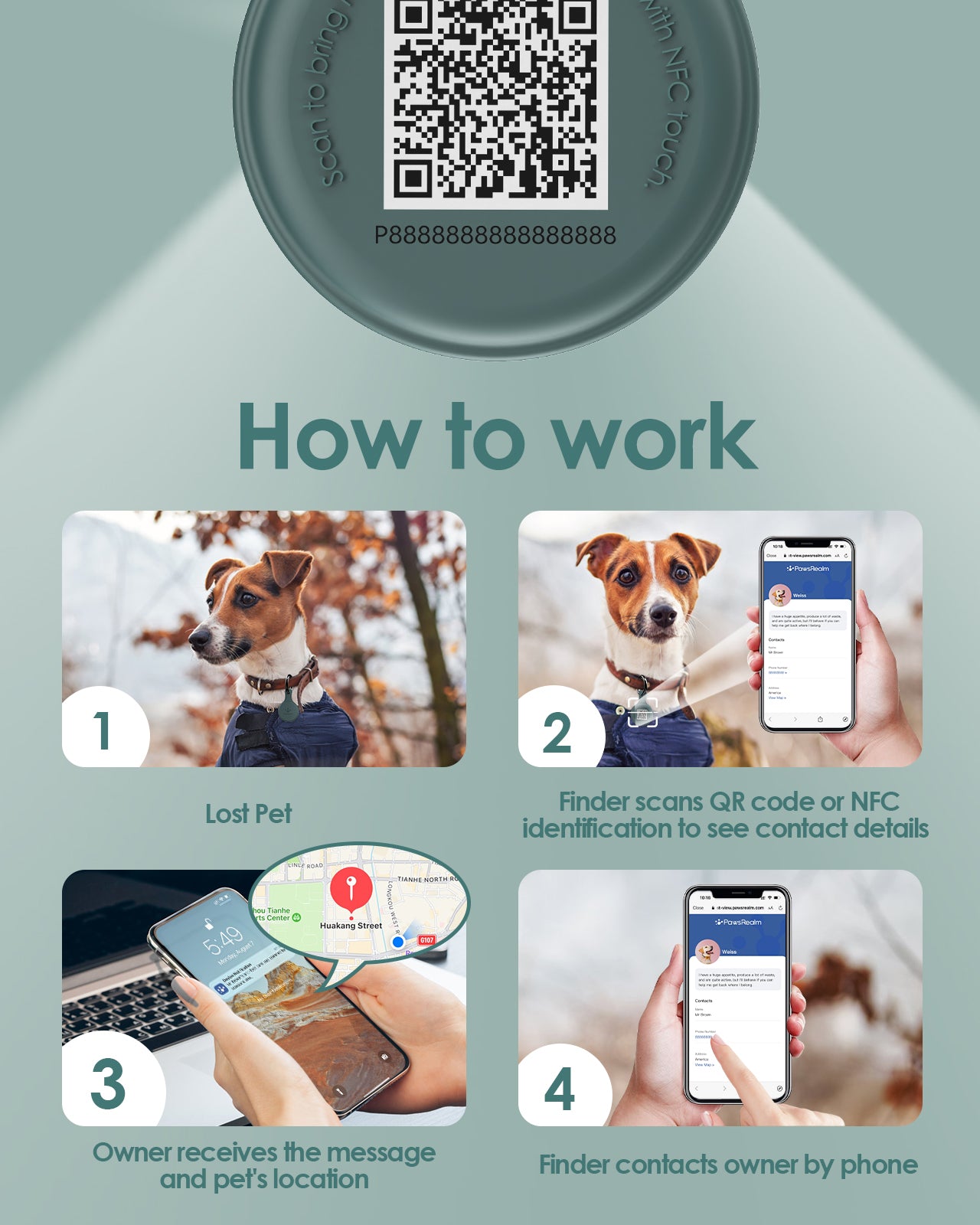 Pawsrealm Dog ID Tags