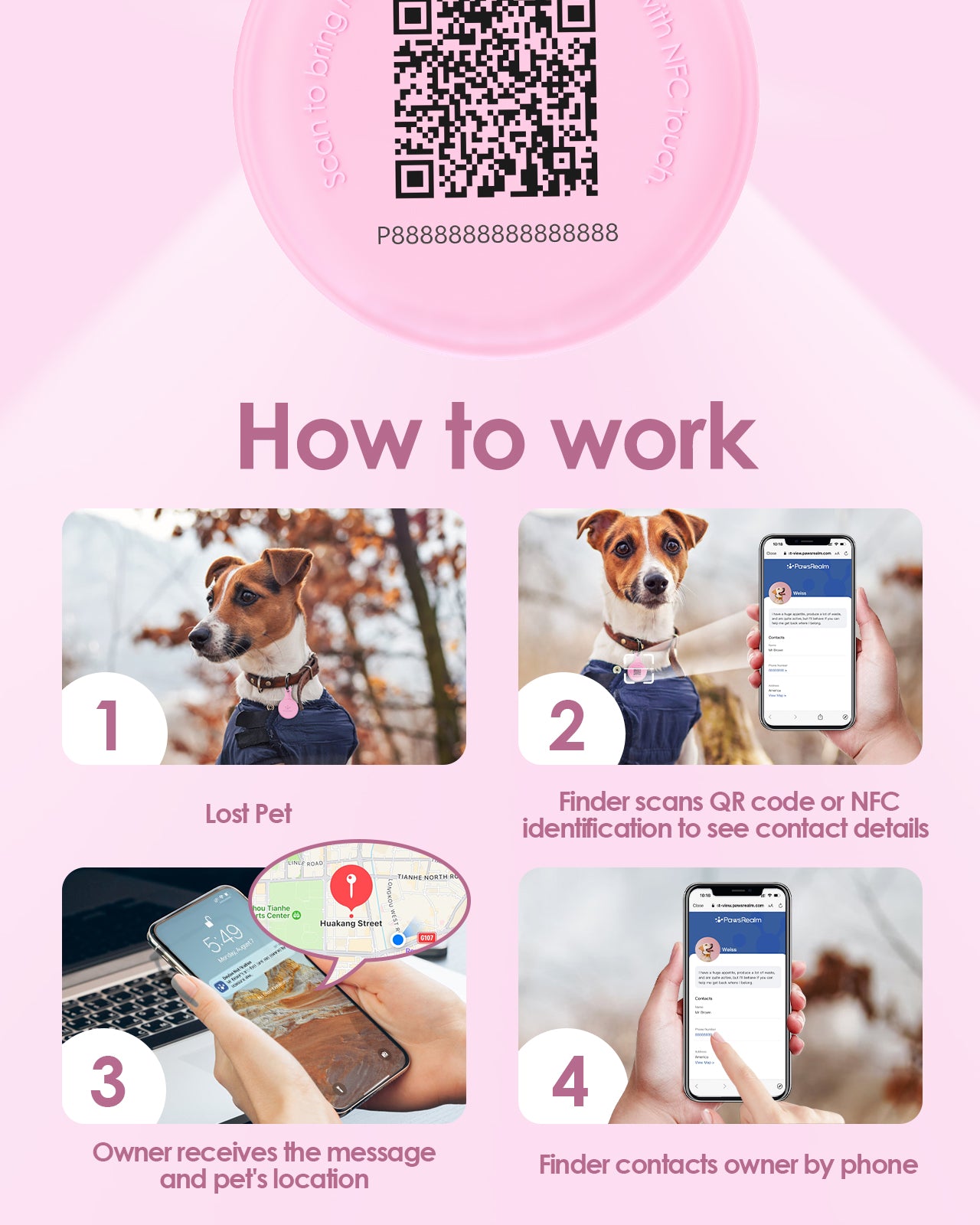 Pawsrealm Dog ID Tags