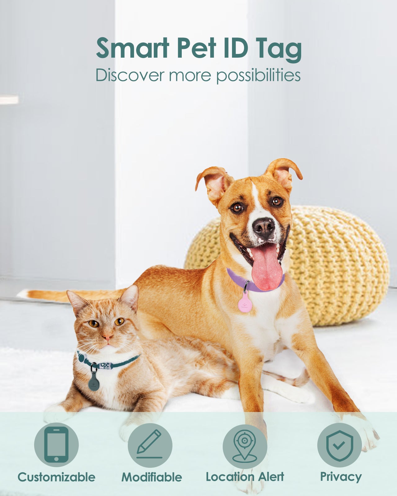 Pawsrealm Dog ID Tags