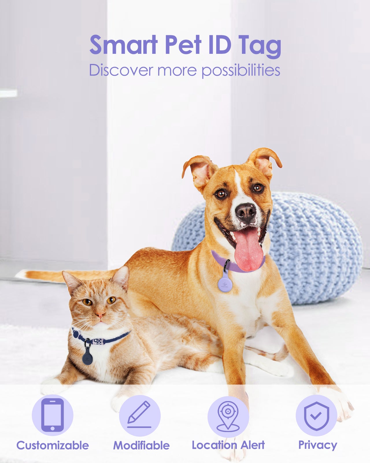 Pawsrealm Dog ID Tags