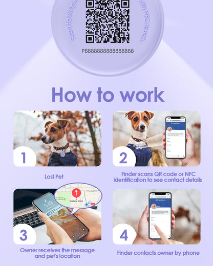 Pawsrealm Dog ID Tags
